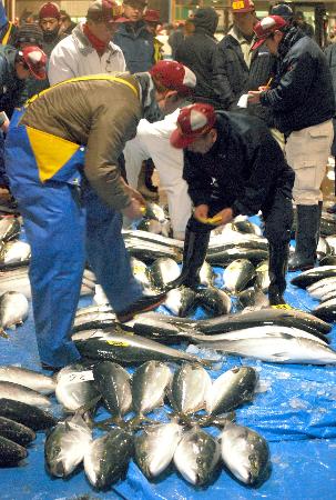 冷たい海の魚、捕れにくく カナダのグループ「温暖化が影響」