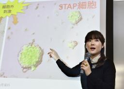 ＳＴＡＰ細胞発見で大人気“オボちゃん”の魅力