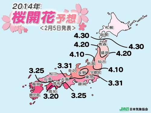 気象協会:桜の開花、平年並み