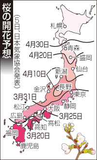 桜開花、ほぼ平年並み 東京都心は遅め