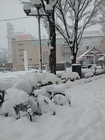 東京は20年ぶりの大雪、このあと大雪の中心は北へ （中谷雪乃）