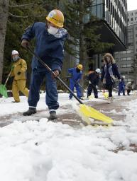 仙台、７８年ぶり積雪３５センチ 東北３県２０人けが