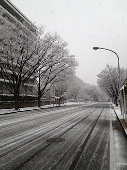 列島各地、大雪に警戒を