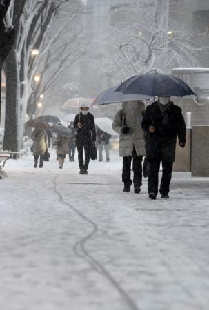 太平洋側で積雪 １５日も荒れ模様