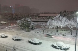 天気:関東各地で記録的積雪 東京都心で２５センチも