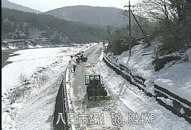 大雪:政府調査団を山梨県に派遣