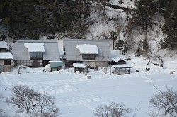 大雪:農作物被害１８６億円以上 孤立も依然３５７１世帯