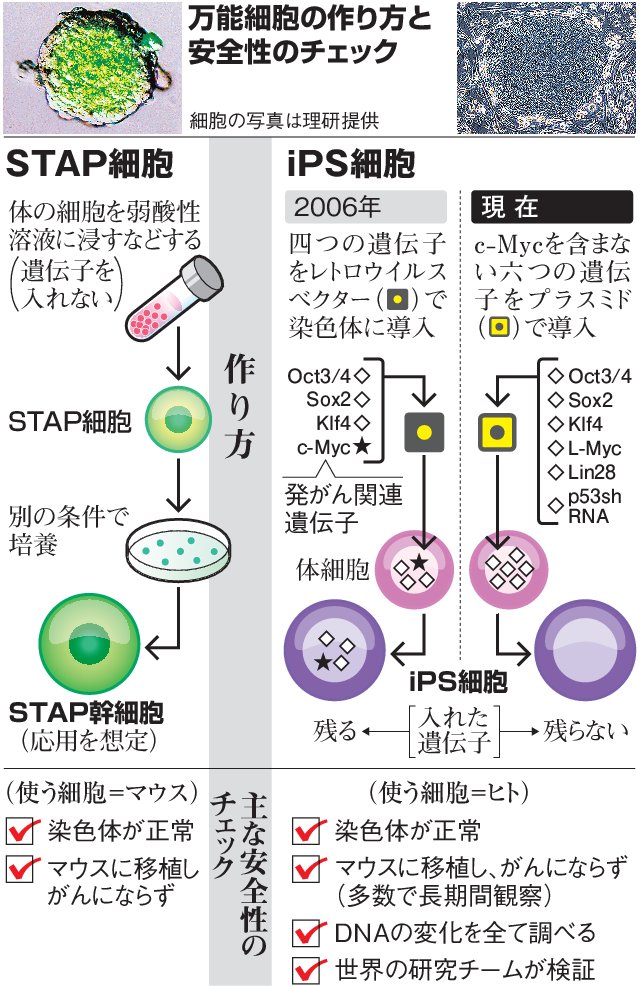 安全性の差、検証これから