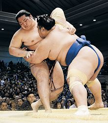 両横綱、５連勝＝大相撲春場所５日目