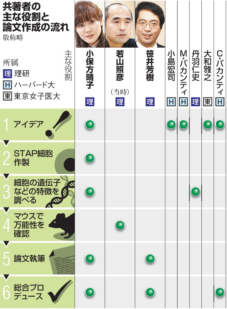 アピタルトップ ＞ ファイル ＞ 着想やマウス実験、共著者８人が分担 ＳＴＡＰ細胞主要論文