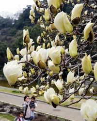 関東で「春一番」 昨年より１７日遅い