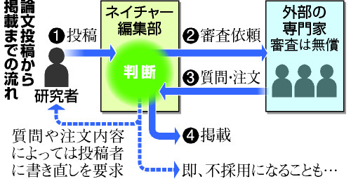 画像訂正:小保方さんらチーム、米専門誌掲載の論文で