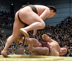 琴奨菊 白鵬撃破に「何も考えずただ前に」勝ち越しあと１