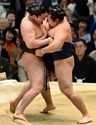 大相撲春場所:鶴竜、力みなし「新しい自分」…１４日目