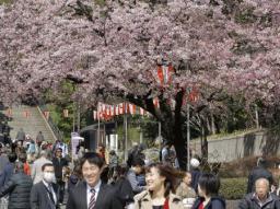 各地で気温上昇 都心などでサクラ開花