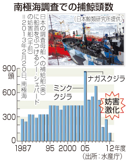 調査捕鯨訴訟:日本敗訴 国際司法裁判所、条約違反と認定