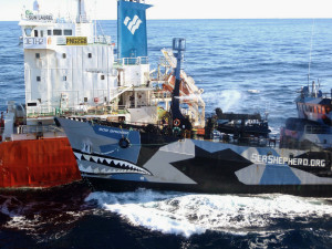 国際司法裁判所、南極海での調査捕鯨を条約違反と認定