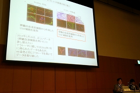 理研、最終報告書の小保方氏提出の画像をこっそり削除 公式説明なき修正にネットで疑問や不信感