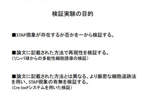 理研、検証に小保方氏は加えず 「協力は得たい」