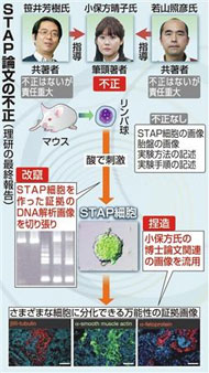 小保方氏、心身不安定で入院 9日会見には出席