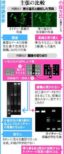 小保方氏「再調査実施を」 ＳＴＡＰ論文、不服申し立て