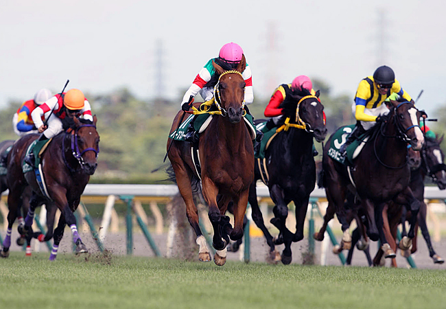 桜花賞で優勝したハープスター（１８）＝阪神競馬場