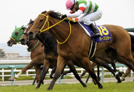 ハープスターが優勝＝競馬桜花賞