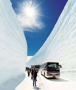 立山黒部アルペンルート:全線開通 「雪の大谷」に歓声