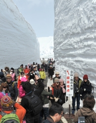 神秘の雪壁１５ｍ…立山黒部アルペンルート開通 2014年04月16日 17時26分