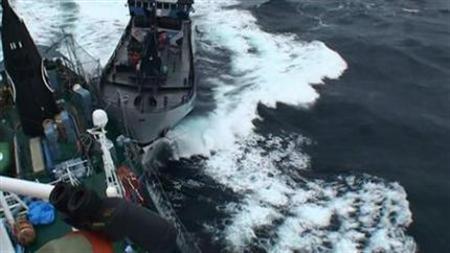 南極海の調査捕鯨再開へ＝水産庁