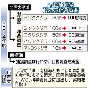 調査捕鯨 北西太平洋継続を発表 南極海も再開方針