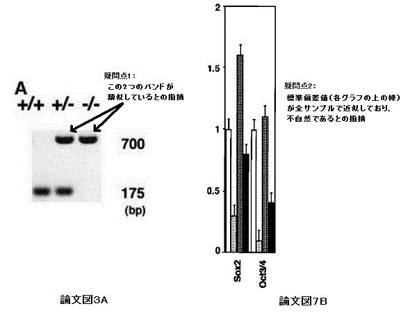 iPS細胞の山中教授が謝罪 切り貼りなくとも原データ提示できず