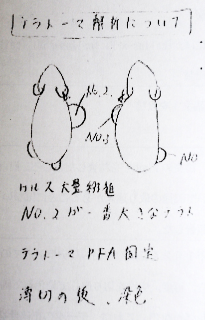 アピタルトップ ＞ ニュース ＞ 小保方氏代理人「訴訟も選択肢の一つ」 ＳＴＡＰ論文