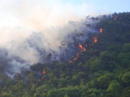 兵庫の山林火災で山陽道通行止め