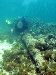 コロンブスの旗艦「サンタマリア号」の残骸か ハイチ沖で発見