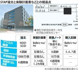 理研改革委:小保方氏も検証参加を 再調査、改めて要請