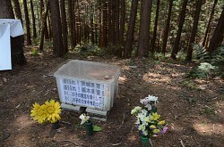 栃木・今市女児殺害:鹿沼の３２歳男を逮捕