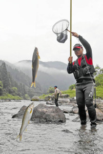 アユ釣り解禁さおの列続く 足羽川など 2014年06月08日