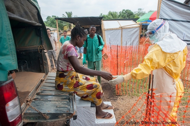 アフリカ西部のエボラ出血熱：MSFの対応も限界に－－大規模対策が急務