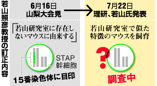 ＳＴＡＰ細胞解析結果は誤り 若山氏、会見内容を訂正