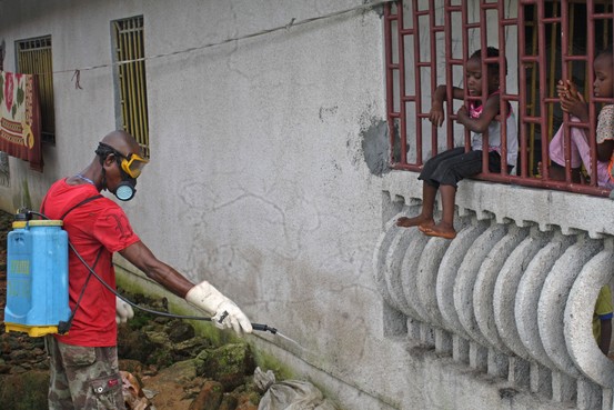 サルで治療効果、論文発表＝開発中のエボラ熱新薬－米加チーム