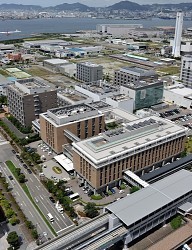 STAP論文の「新たな疑義」、本調査スタート 理研