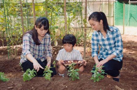 悠仁さま、８歳に＝宮邸野菜畑でトマト収穫