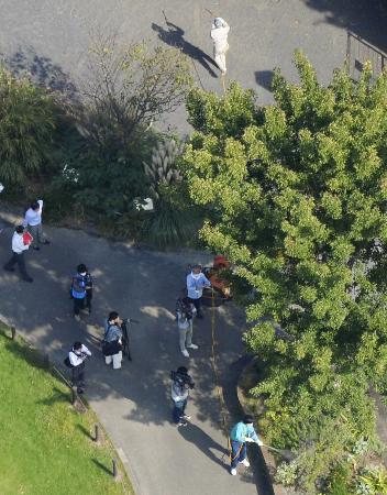 デング熱3人増え147人に 東京・目黒の公園で感染か