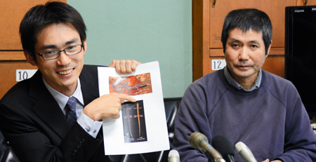 新種のタダミハコネサンショウウオ（左）とハコネサンショウウオ（ともに吉川夏彦さん提供）