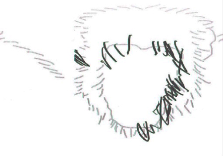 「想像で絵を描くのは人間特有の能力」？チンパンジー実験で解明