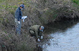 環境省が現地調査開始 安来の鳥インフル