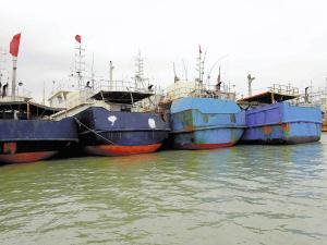 どこへ消えたサンゴ密漁船、中国帰港は一部のみ 2014年11月28日 07時33分