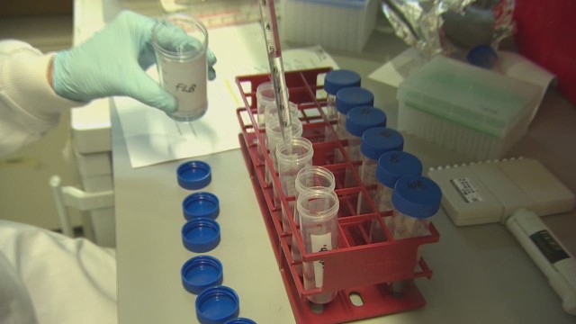 エボラ熱ワクチンの治験、結果は有望 米研究所