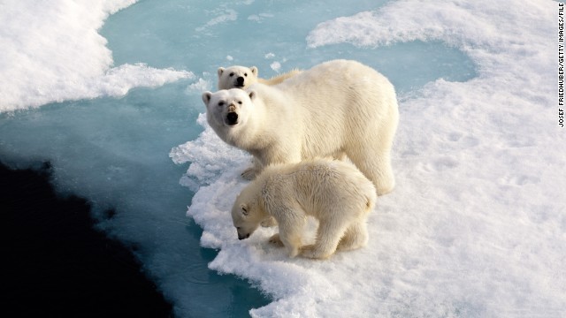 今年の世界平均気温 過去最高になる可能性 WMO